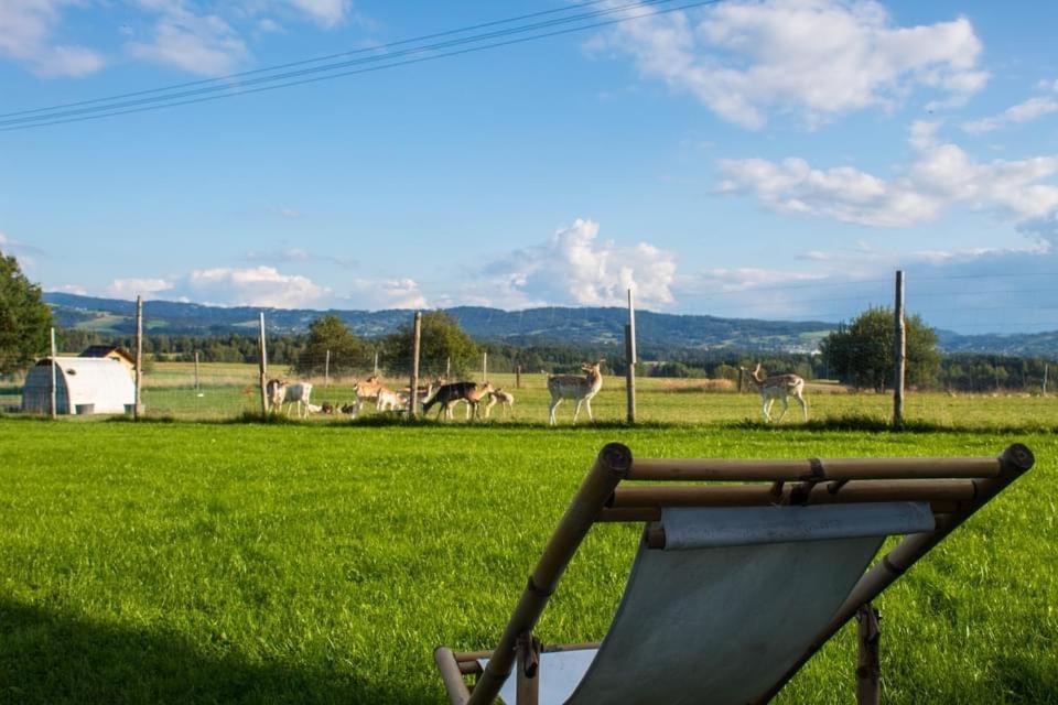 Ranczo Zwierzyniec Noclegi Jordanow Exterior foto